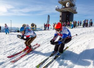 Mehr über den Artikel erfahren GMOA OIM RACE 2026