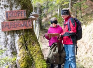 Mehr über den Artikel erfahren NEU ab Sommer 2026 Escape Trail: Katta und der Räuberwald